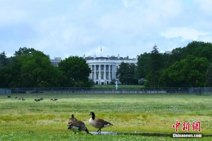 美法官暫時允許美國政府繼續(xù)推進聯邦雇員“買斷計劃”
