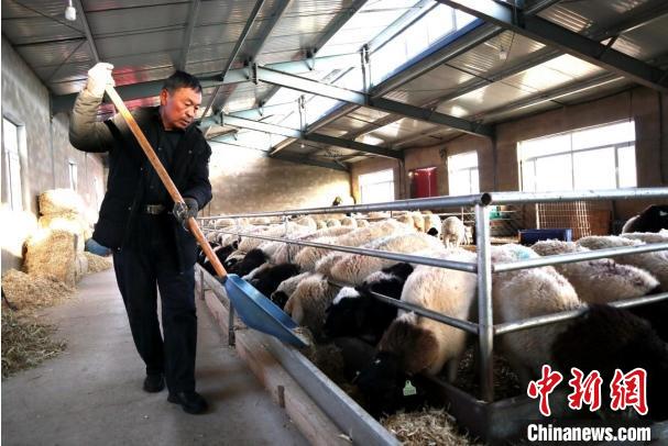 北疆村支書的鄉(xiāng)村振興答卷：秧歌鬧春，養(yǎng)殖興農(nóng)