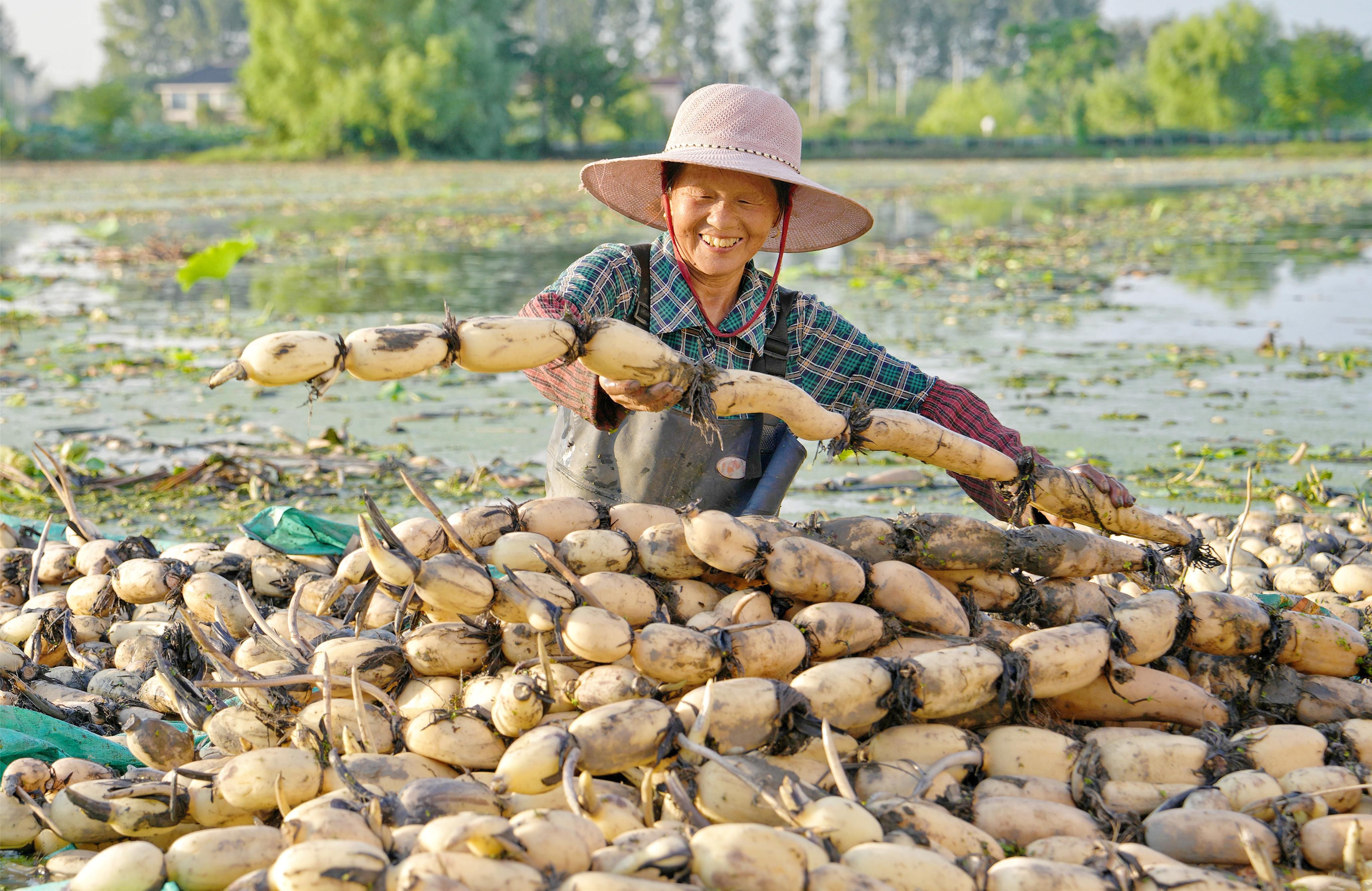 重塑哪吒和敖丙為啥用藕粉？原因竟然是這個