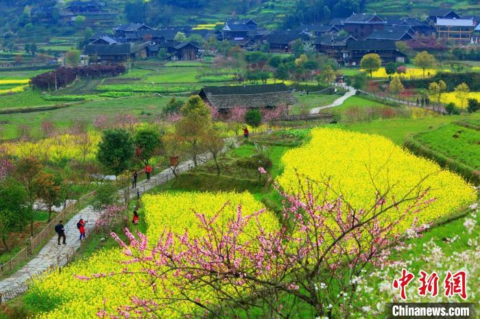 湖南新化游子“歸巢”逐夢(mèng)  新農(nóng)人山鄉(xiāng)耕耘新希望