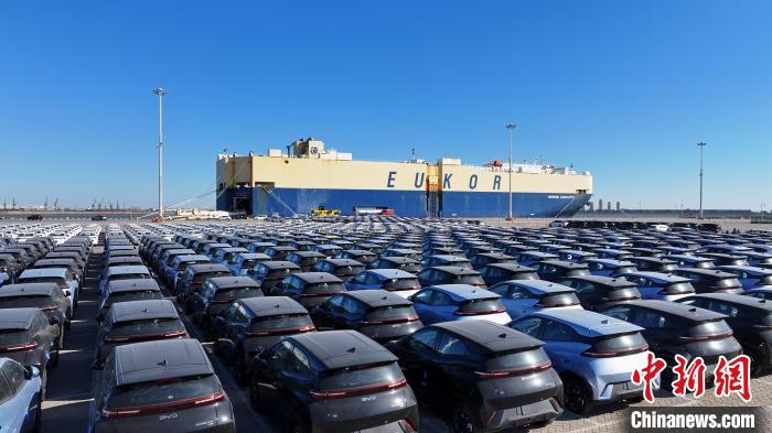 天津港今年最大批次單品牌國(guó)產(chǎn)新能源車(chē)出口