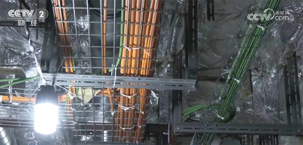 國產(chǎn)大型郵輪、列車招聘會、服裝生產(chǎn)企業(yè)……全力以“復” 開工跑出“加速度”