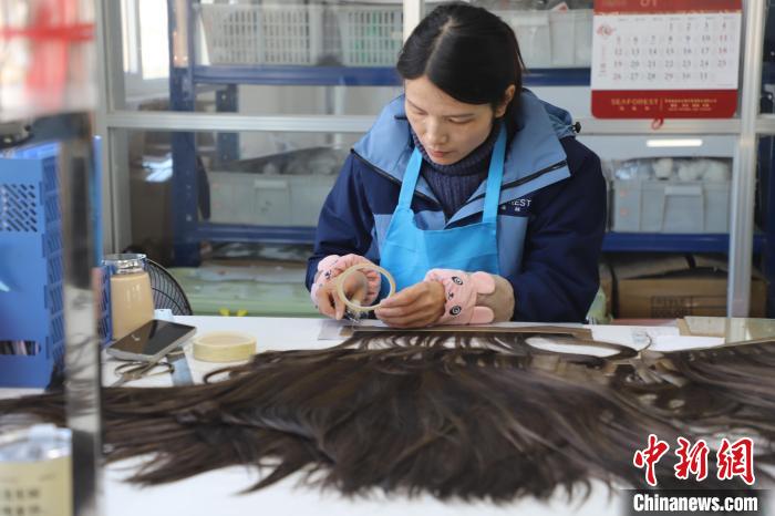 山東多向發(fā)力推動(dòng)“魯字號”產(chǎn)業(yè)走出國門