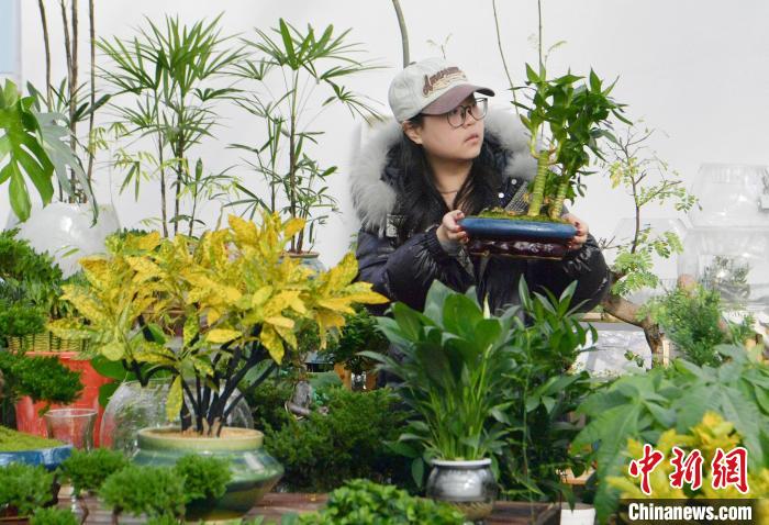 “Z世代”流行爆改工位 寓樂于“物”開啟新一年