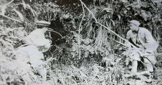 殘害無辜的女匪田玉蓮，與丈夫藏匿深山16年，因要生孩子暴露被誅