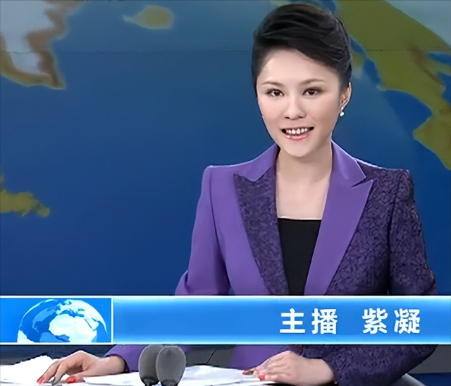 央視主播紫凝：生活節(jié)儉，貸款買車，41歲單身生活質(zhì)量高