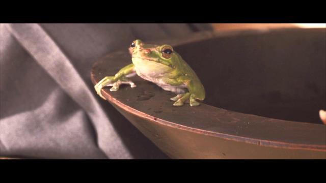 一部電影塞進(jìn)了40多部恐怖片角色！聊聊《林中小屋》出現(xiàn)的怪物