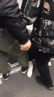 現(xiàn)在女大學生太開放, 這么隱私的東西露在外面, 男人看了都臉紅!