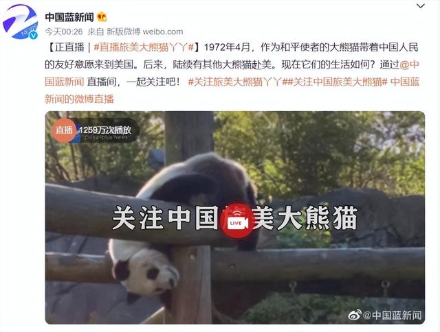 “丫丫”到底怎么了？骨瘦如柴、毛發(fā)脫落 → 網(wǎng)友：像吸毒了一樣！