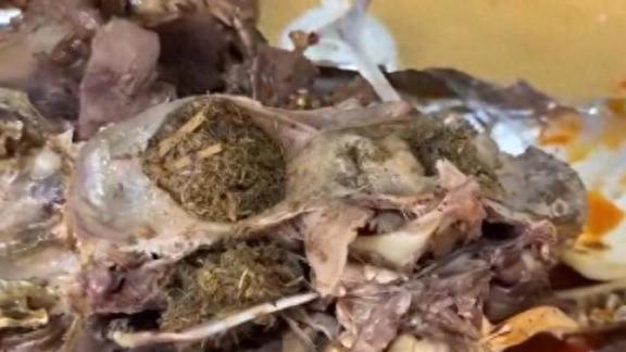 博主直播吃鹵羊頭時(shí)吃出青草，官方通報(bào)：屬實(shí)