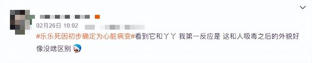 “丫丫”到底怎么了？骨瘦如柴、毛發(fā)脫落 → 網(wǎng)友：像吸毒了一樣！