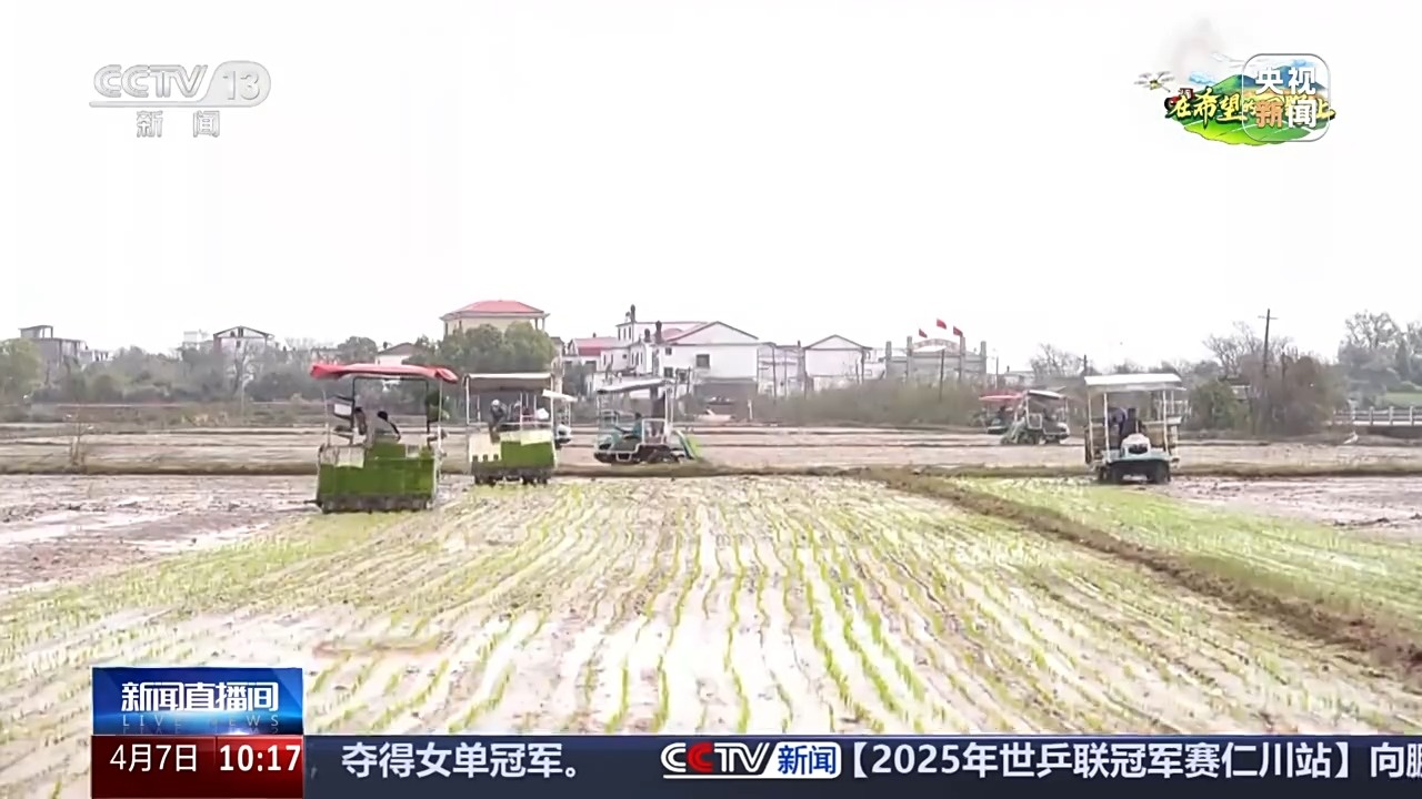 讓麥田喝上“聰明水”、百合種植新技術(shù)……清明時(shí)節(jié)農(nóng)事忙