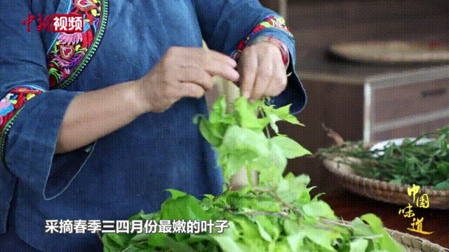 春天打翻調色盤，竟被壯鄉(xiāng)人蒸成了飯！