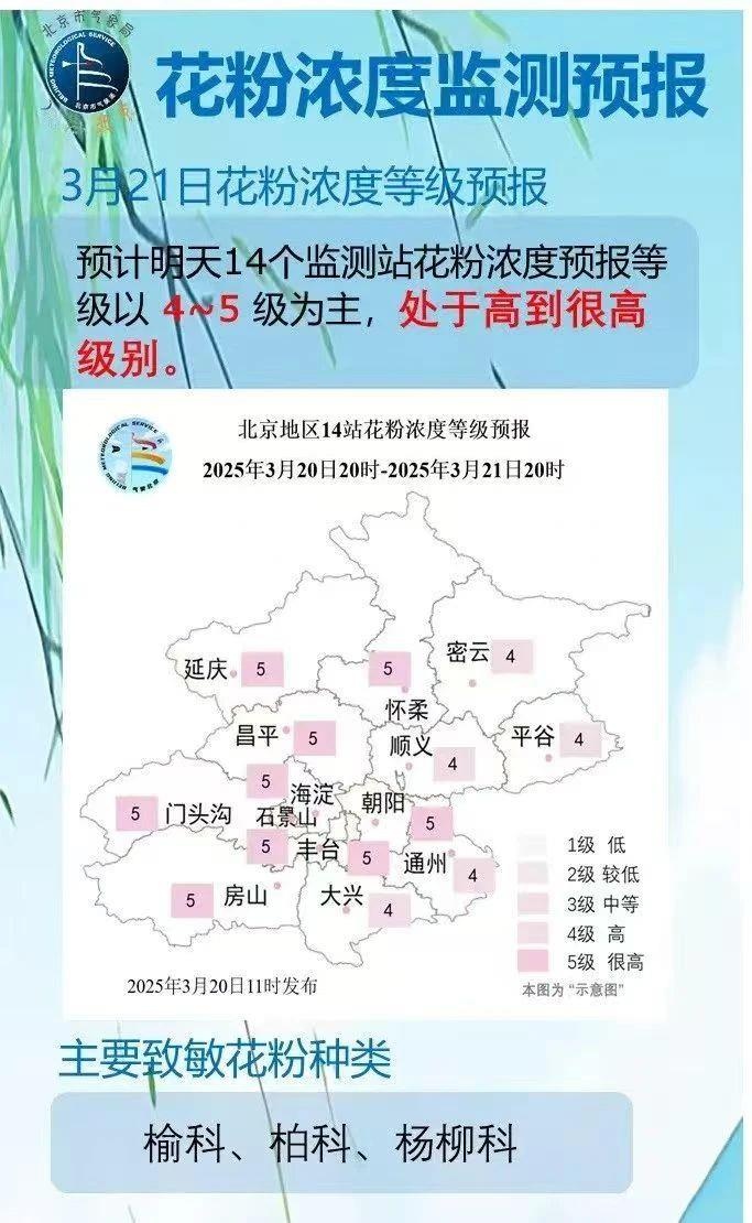 花粉過敏高發(fā)季來臨 防護(hù)攻略請查收