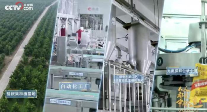 收入首次突破70億，洽洽食品以“品質+創(chuàng)新”跨越新周期