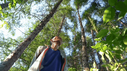 紀(jì)錄片｜山水長歌