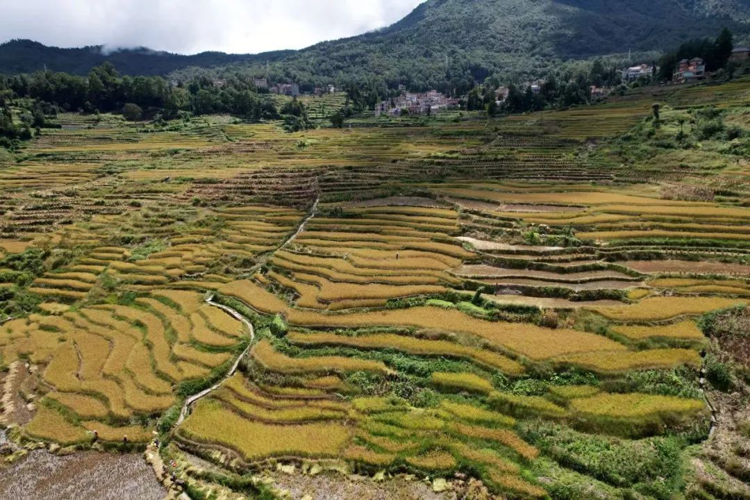 東西問(wèn)丨里韋拉·埃斯皮諾薩：人類應(yīng)以何種“新禮”回贈(zèng)大地？