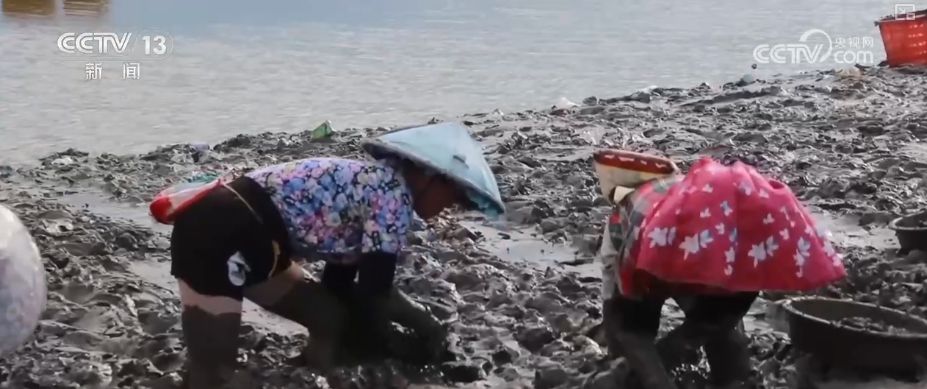 “糧飼雙收”“一塘多收”……新技術(shù)“大顯身手”繪就秋日別樣好“豐”景