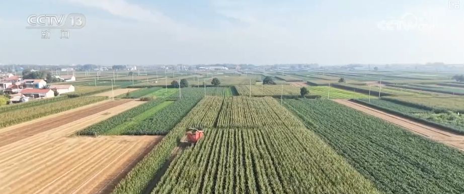 “糧飼雙收”“一塘多收”……新技術(shù)“大顯身手”繪就秋日別樣好“豐”景