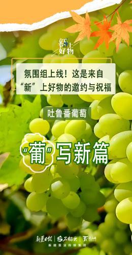 氛圍組上線！這是來(lái)自“新”上好物的邀約與祝福