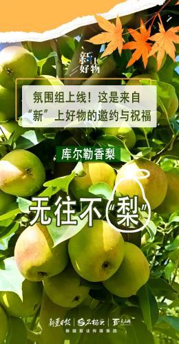 氛圍組上線！這是來(lái)自“新”上好物的邀約與祝福