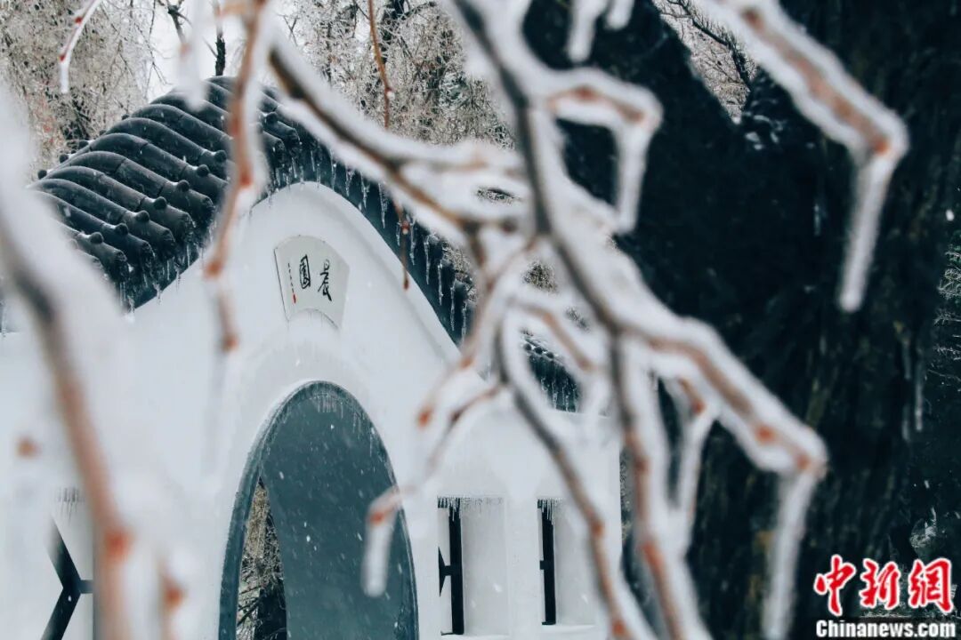 吉林大學(xué)，太寶藏了吧！