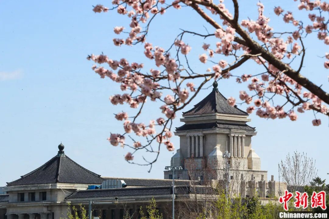 吉林大學(xué)，太寶藏了吧！