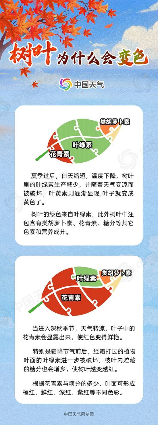 全國賞紅葉地圖出爐 十大觀賞地帶你體驗(yàn)不同秋色