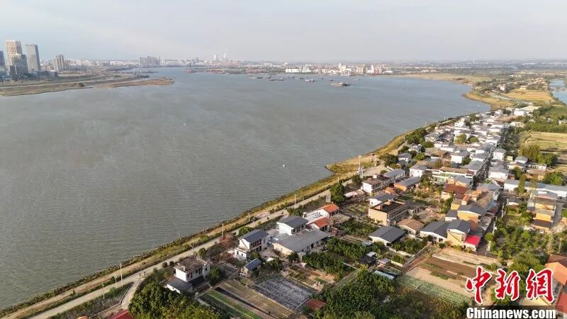 圖為航拍南昌市東湖區(qū)揚(yáng)子洲鎮(zhèn)漁業(yè)村。 吳敏 攝.jpg